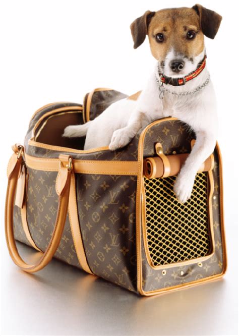 louis vuitton dog carrier airline approved